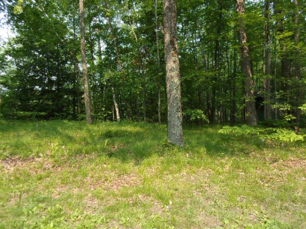 16563 Hwy 32, Mountain, Wisconsin 54149, ,House,Homes For Sale,Hwy 32,1124