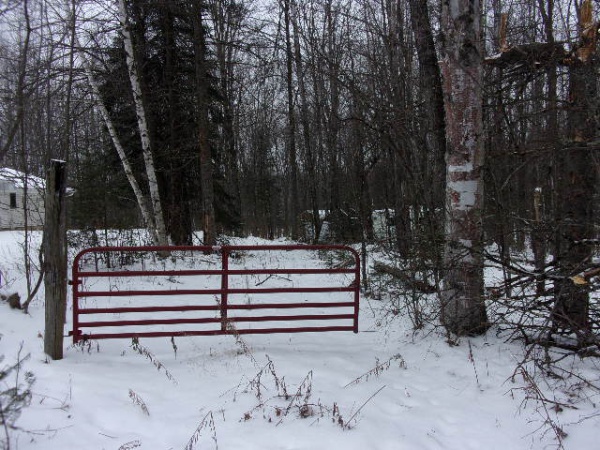 Shiner Lake Road, Wabeno, Wisconsin 54566, ,Waterfront,Lots For Sale,Shiner Lake Road,1132