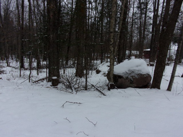 Shiner Lake Road, Wabeno, Wisconsin 54566, ,Waterfront,Lots For Sale,Shiner Lake Road,1132