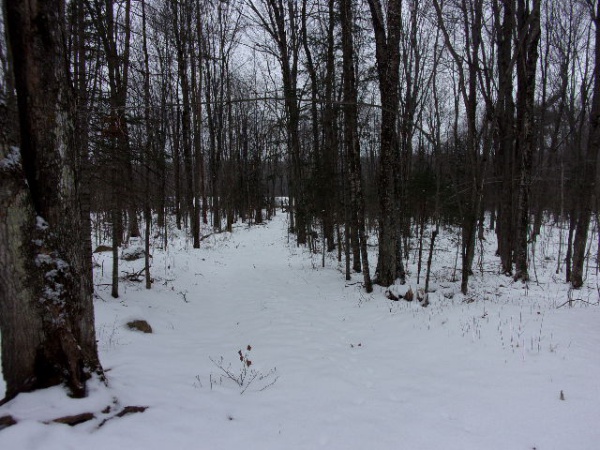 Shiner Lake Road, Wabeno, Wisconsin 54566, ,Waterfront,Lots For Sale,Shiner Lake Road,1132