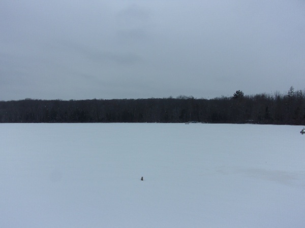 Shiner Lake Road, Wabeno, Wisconsin 54566, ,Waterfront,Lots For Sale,Shiner Lake Road,1132