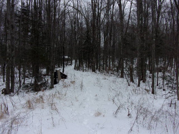 Shiner Lake Road, Wabeno, Wisconsin 54566, ,Waterfront,Lots For Sale,Shiner Lake Road,1132