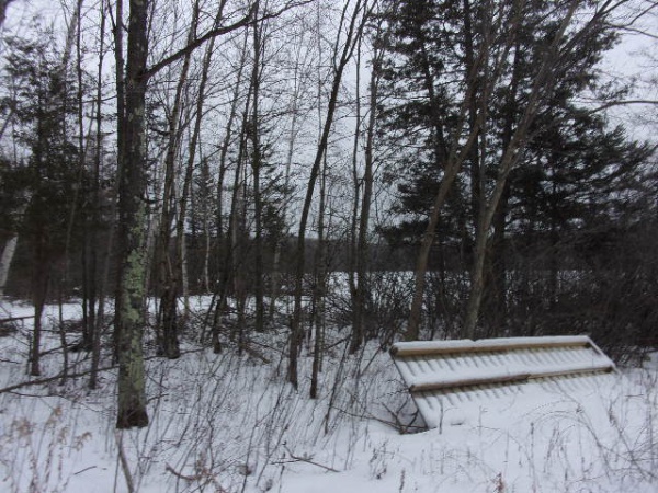 Shiner Lake Road, Wabeno, Wisconsin 54566, ,Waterfront,Lots For Sale,Shiner Lake Road,1132