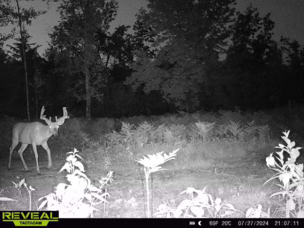 15243 Island Lake Road, Mountain, Wisconsin 54149, ,House,Homes For Sale,Island Lake,1133 15243 Island Lake Road, Mountain, Wisconsin 54149, ,House,Homes For Sale,Island Lake,1133