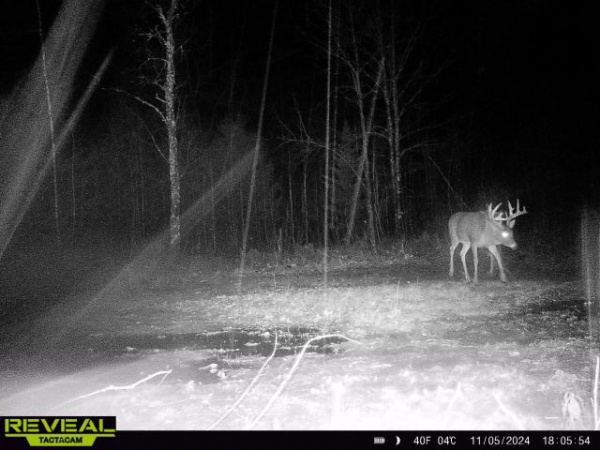 15243 Island Lake Road, Mountain, Wisconsin 54149, ,House,Homes For Sale,Island Lake,1133 15243 Island Lake Road, Mountain, Wisconsin 54149, ,House,Homes For Sale,Island Lake,1133