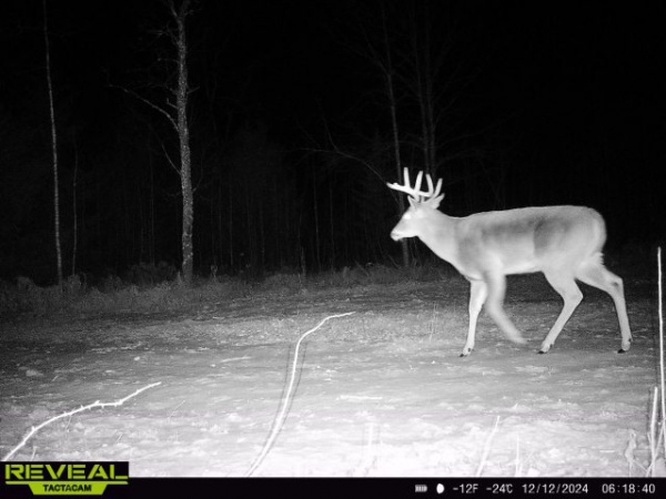 15243 Island Lake Road, Mountain, Wisconsin 54149, ,House,Homes For Sale,Island Lake,1133 15243 Island Lake Road, Mountain, Wisconsin 54149, ,House,Homes For Sale,Island Lake,1133