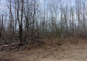 On Krake Road, Townsend, Wisconsin 54175, ,Lot,Lots For Sale,Krake,1134